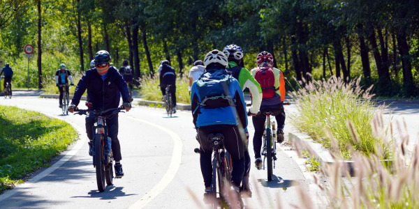 Consejos de seguridad para ciclistas en las carreteras de Xàtiva